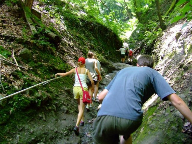 DSCF0109 (Medium)